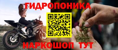 прущие грибы Бузулук