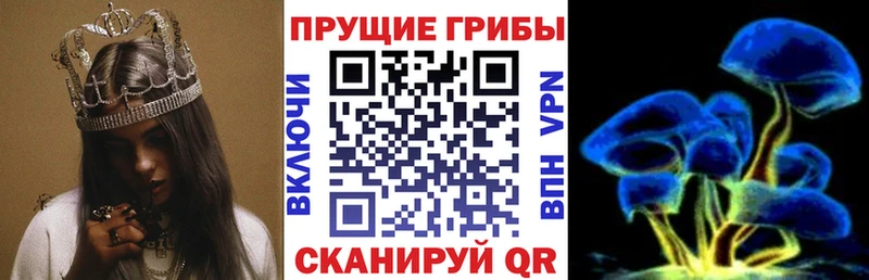 Галлюциногенные грибы мухоморы  kraken ТОР  Домодедово 