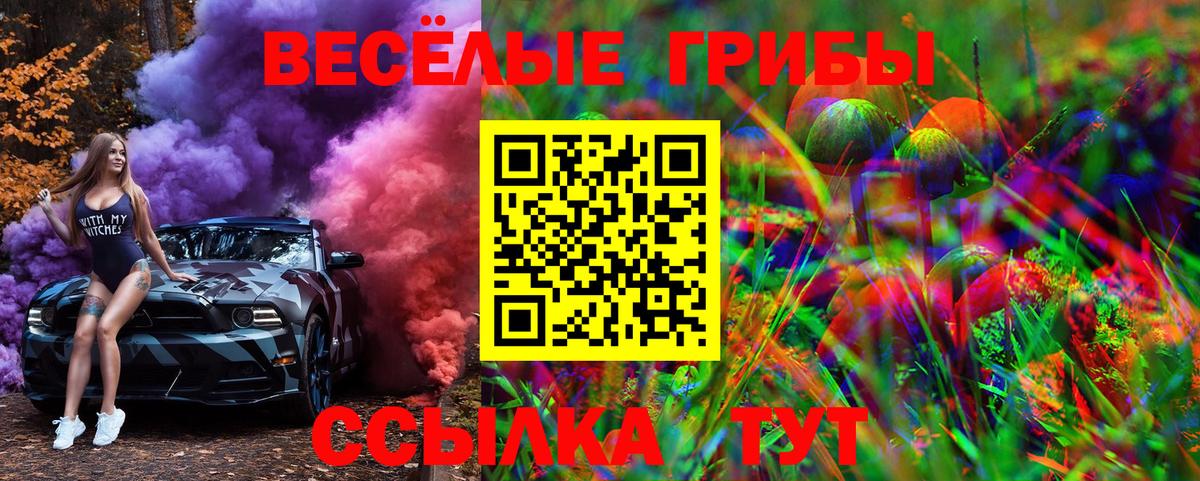 Псилоцибиновые грибы прущие грибы Домодедово