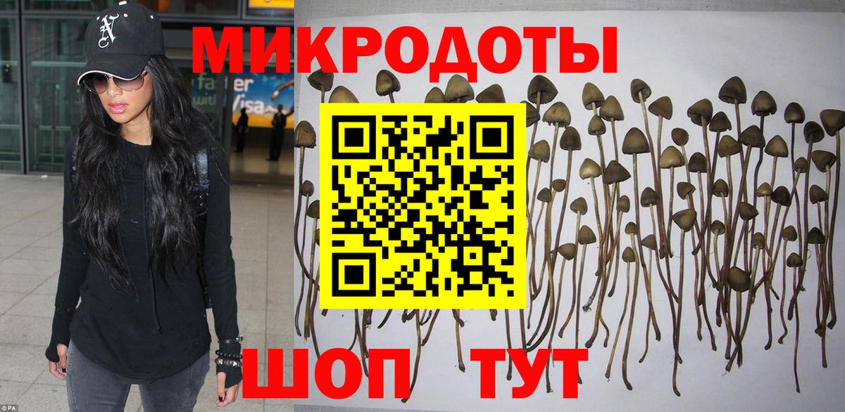 Псилоцибиновые грибы Cubensis Домодедово