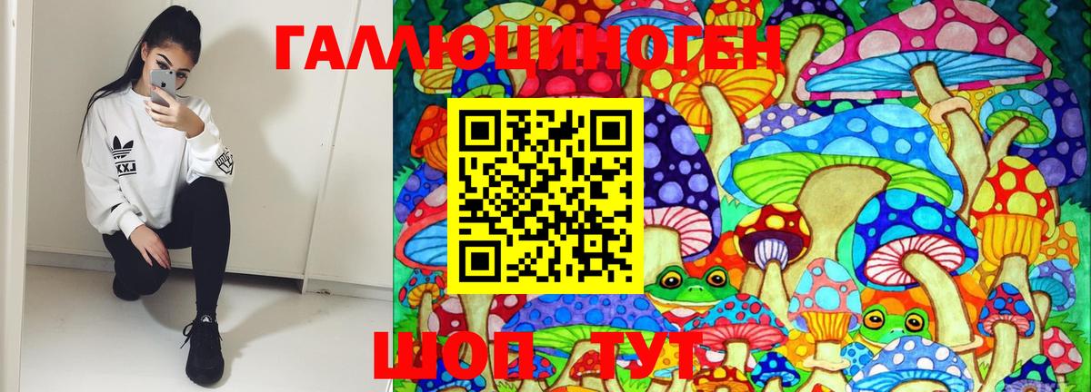 Псилоцибиновые грибы GOLDEN TEACHER  Галлюциногенные грибы MAGIC MUSHROOMS  Домодедово 